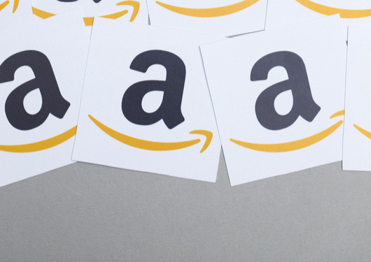 080917 Amazon Isthe Topic