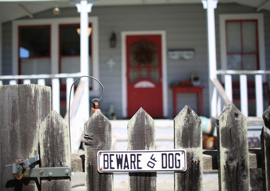 041917 Dog Attackson Mail Slider Image