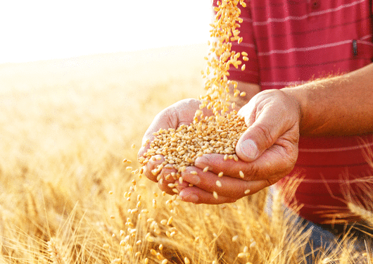 042017 Againstthe Grain Traders Slider Image