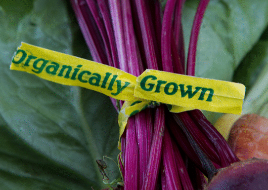 053117 Is It Really Organic