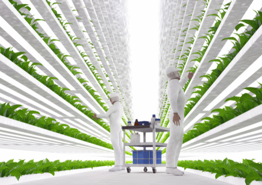 062117 Vertical Farming Gets Real