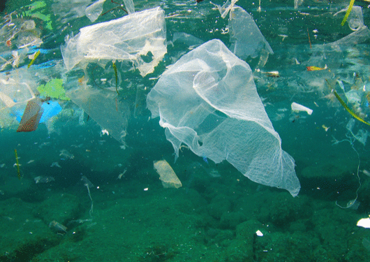 062717 Plastic Pollutioninthe