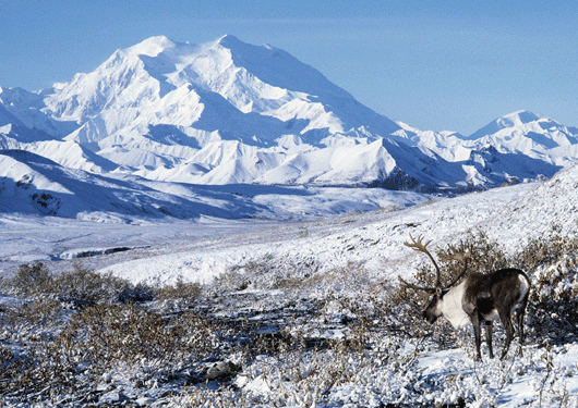 Alaska 01