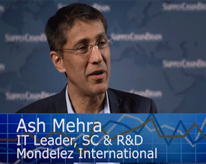Ash Mehra Image