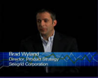 Brad Wyland Icon 06