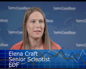 Elena Craft Image