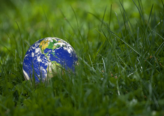 Environmental 1 06