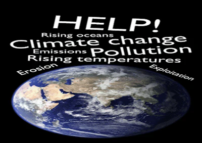Environmental 4 01