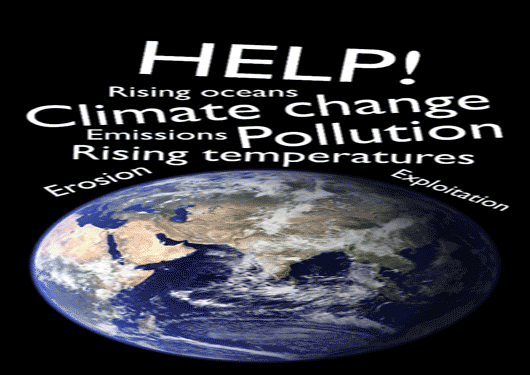 Environmental 4 05