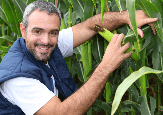 Farmer Crop 1 01