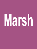 Marsh 05