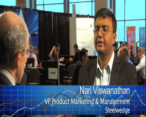 Nari Viswanathan Image