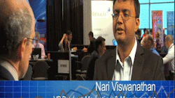 Nari Viswanathan Image