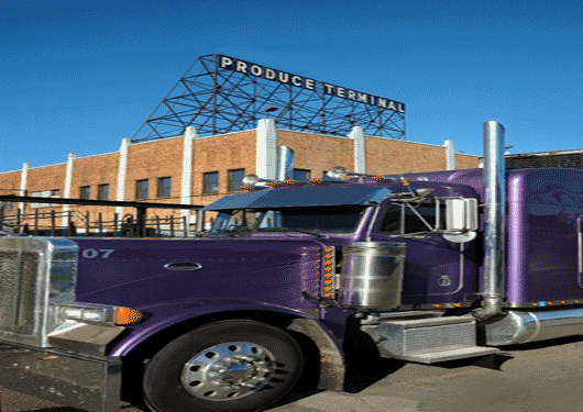 Refrigerated Truck 02