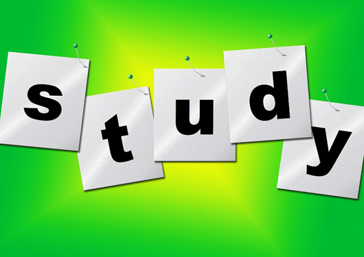 Study 3 13