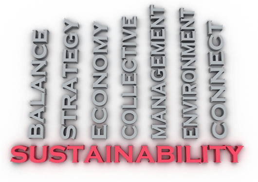 Sustainability 1 02