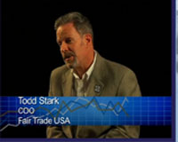 Todd Stark Icon 01