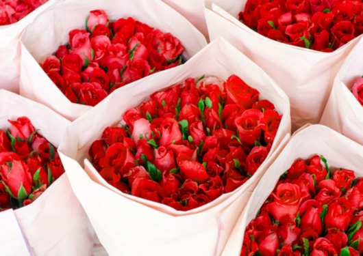 0214 Roses Are Cheapon