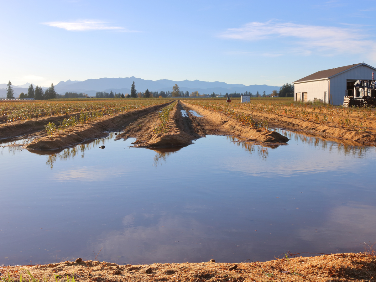 0921 Farm
