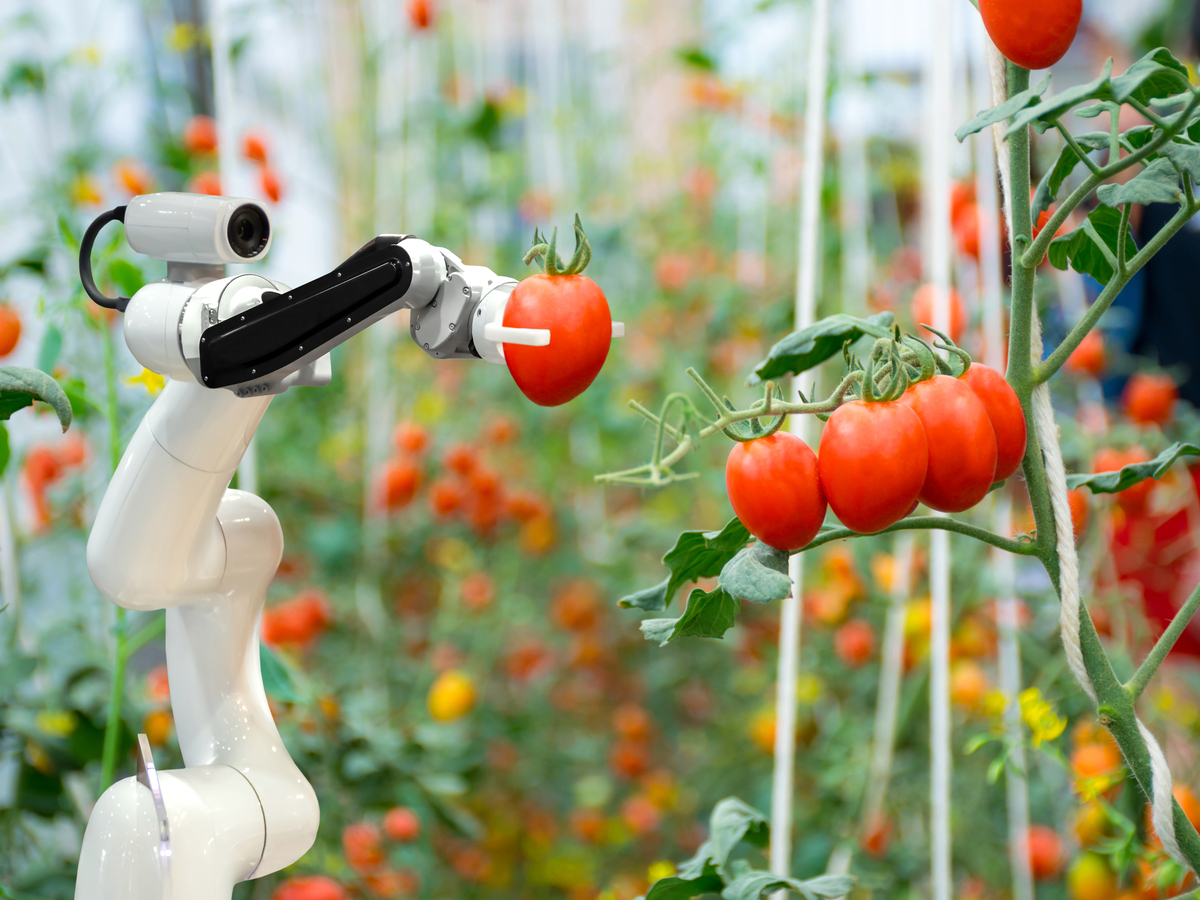 1010 Americas First Robot Farm