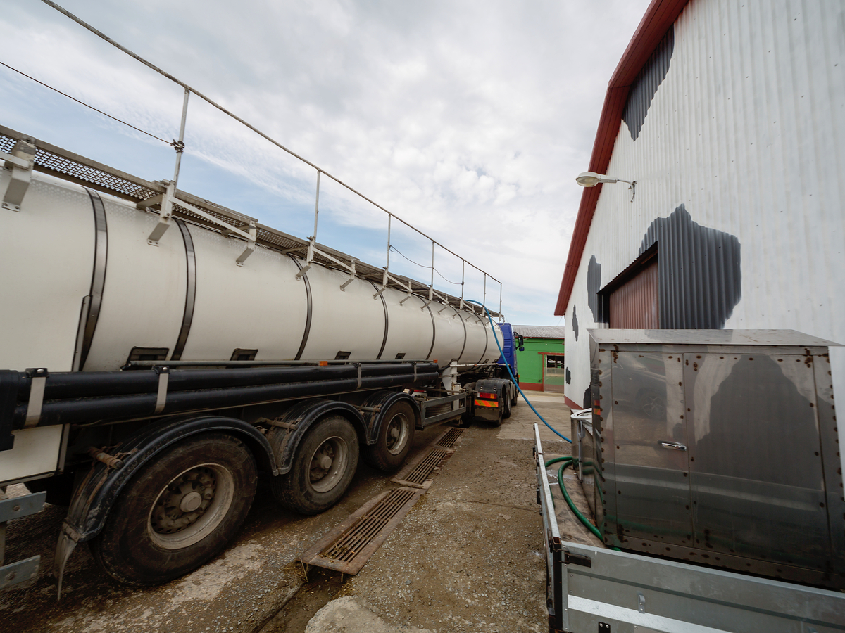 1015 Organic Dairy Producer Milks
