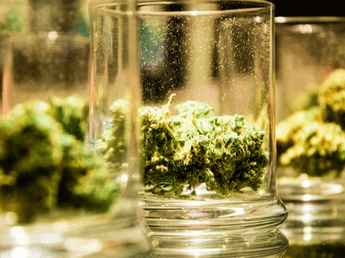 0624 Standardsfor Pot Sector