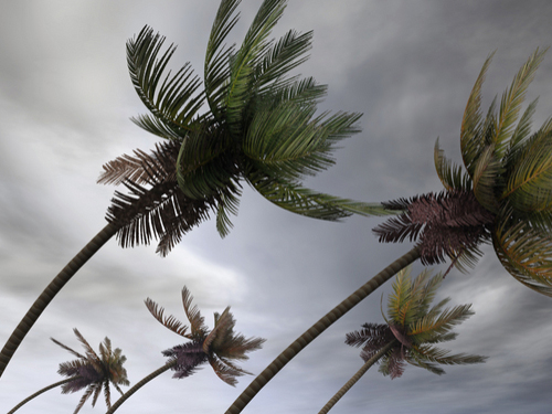 0826 Tropical Storm Dorian Gains