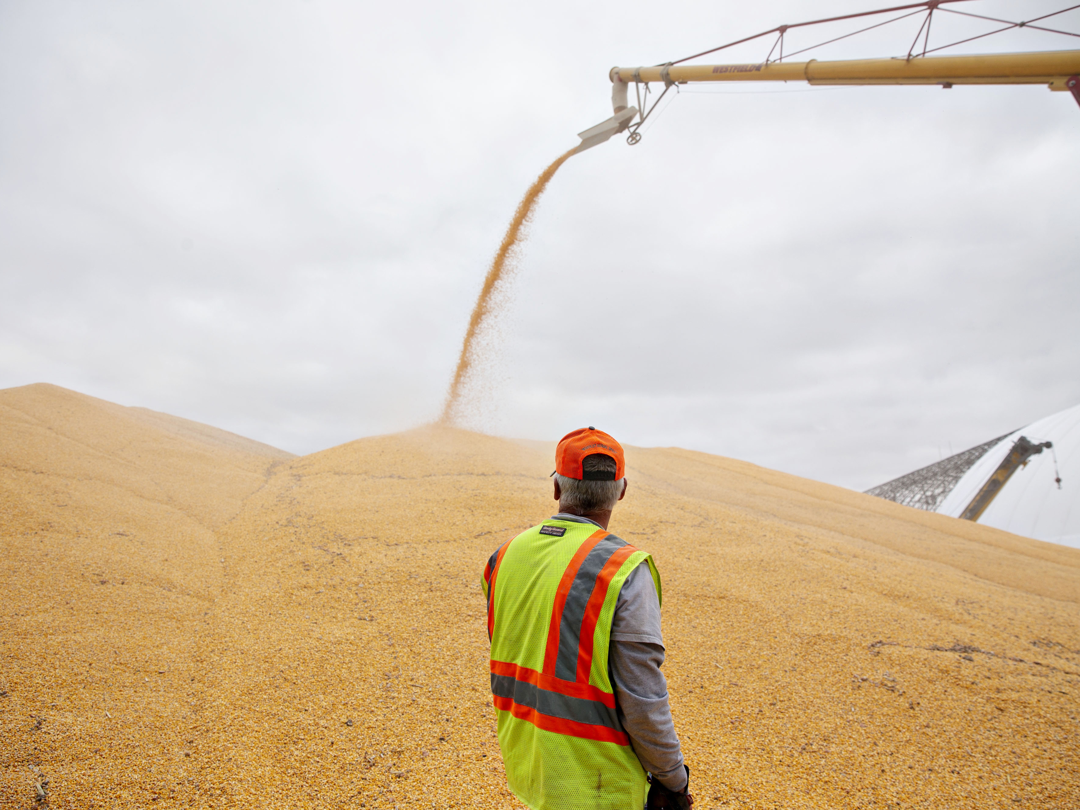 1016 China Ties Agriculture Binge