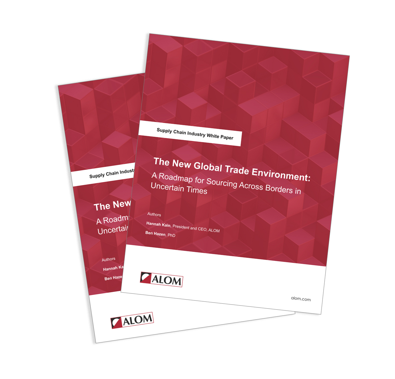 The New Global Trade Environment