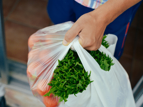 1122 Kroger Brings Farming