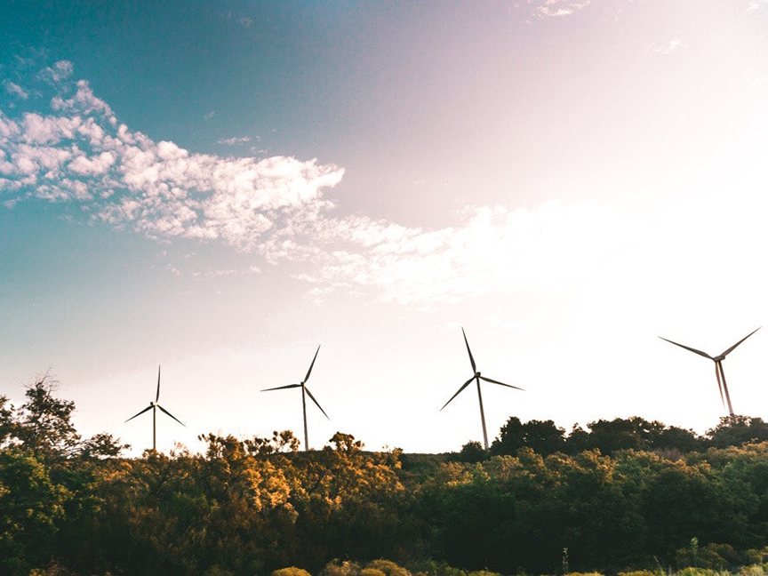 0131 Sustainable Investing