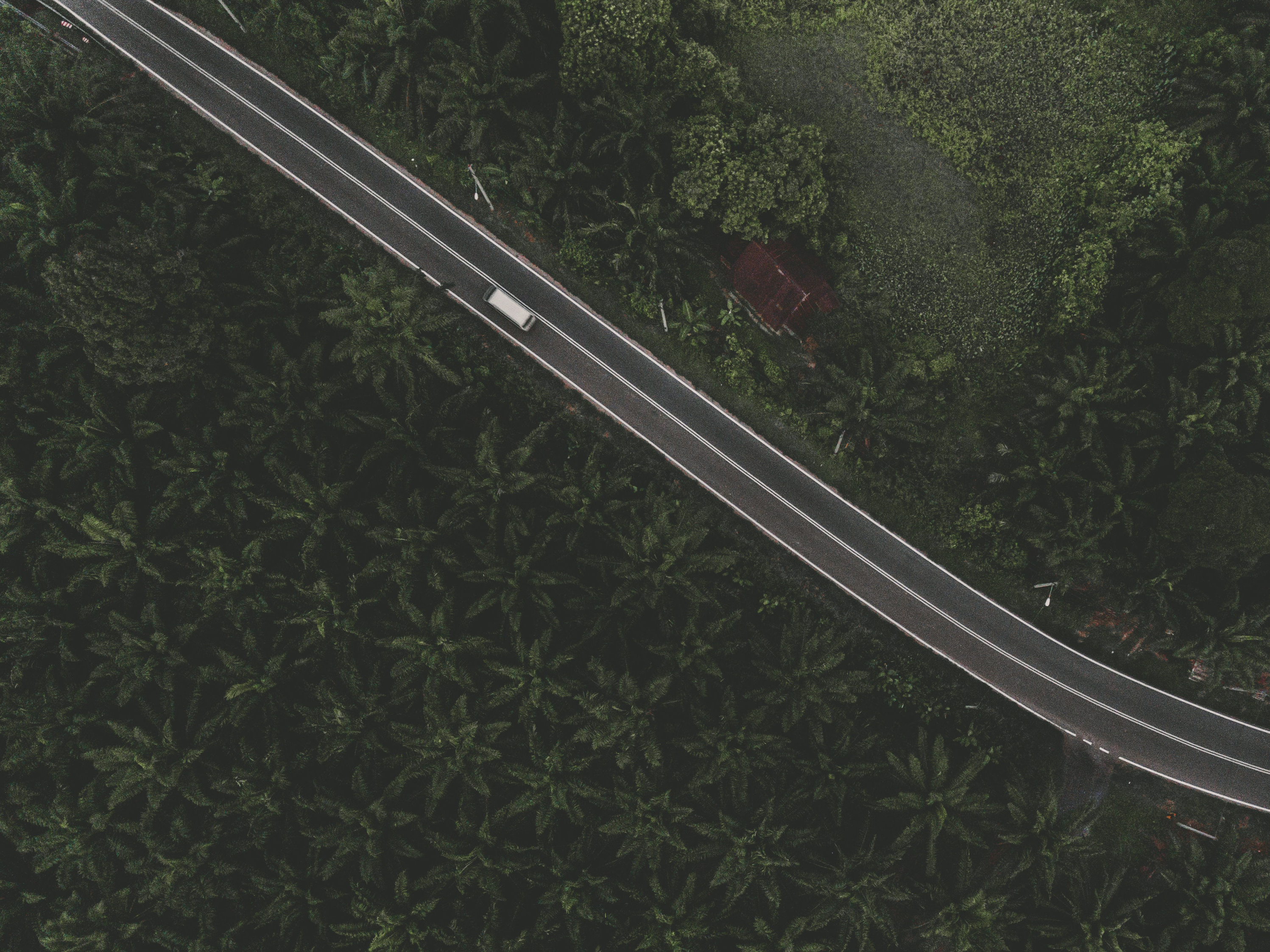 0413 Satellites Help Track Food