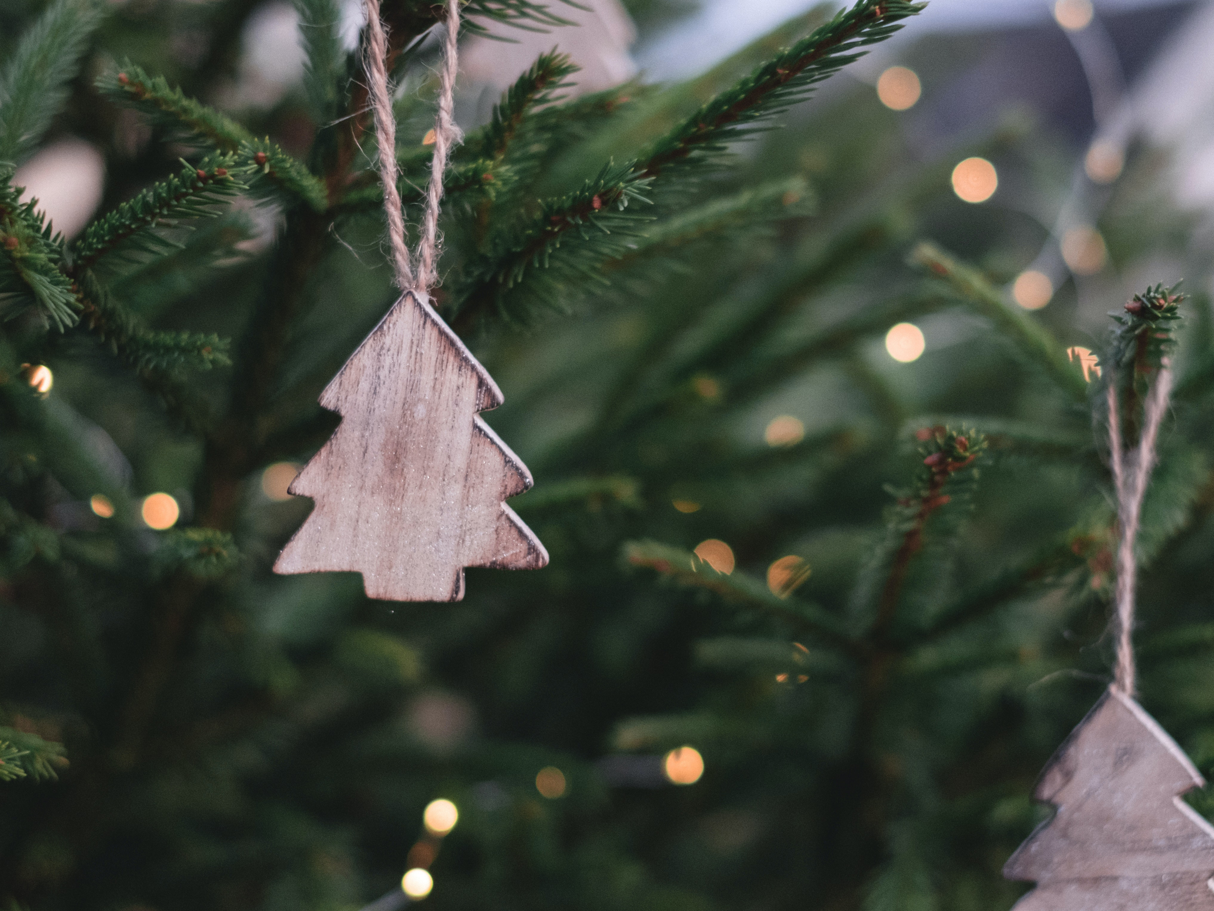 1207 Christmas Tree