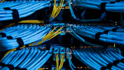 Data cables feed into servers. Photo: Bloomberg.
