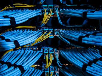 Data cables feed into servers. Photo: Bloomberg.