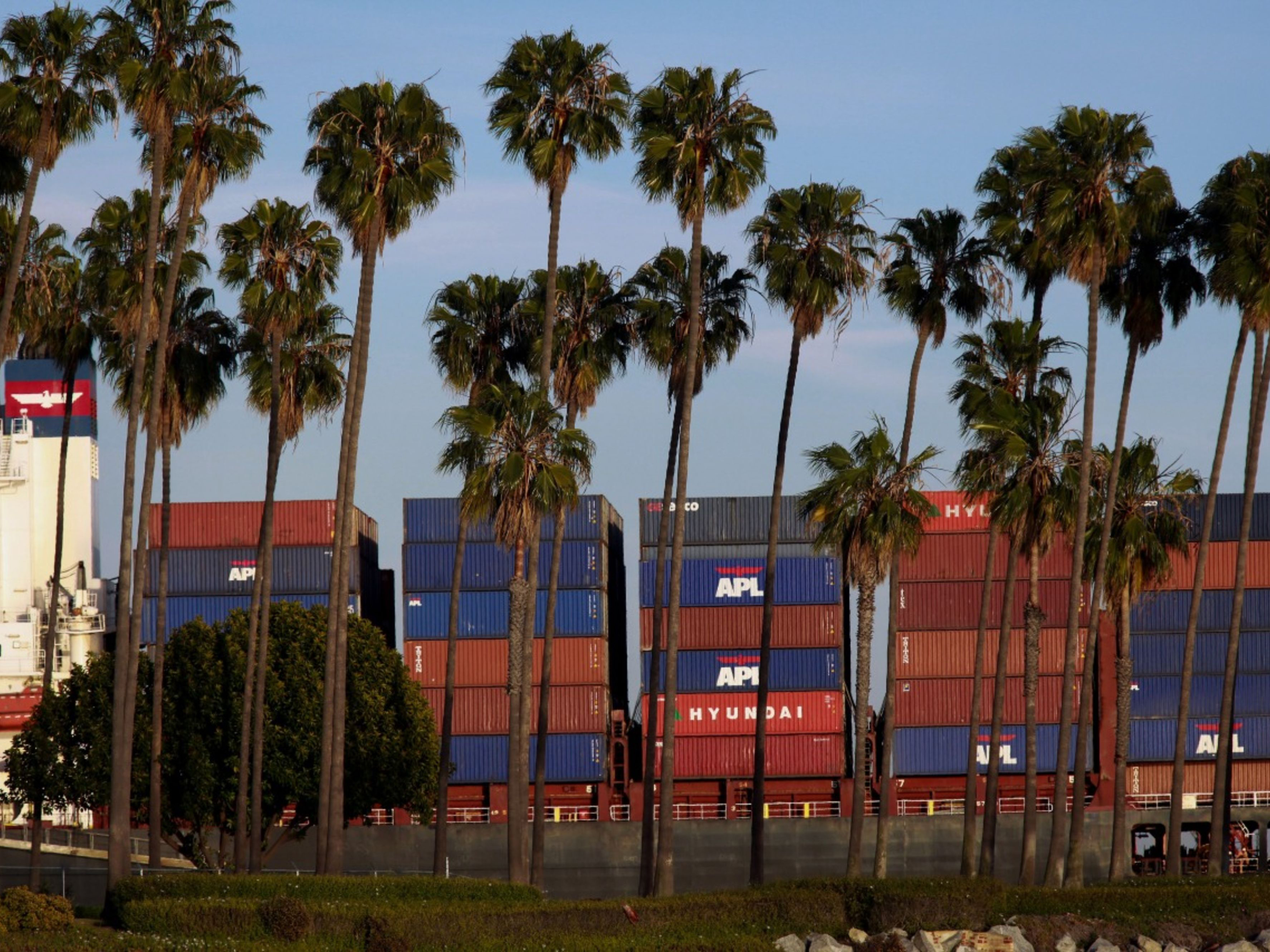 Palm trees stand before stacks of shipping containers at the Port of Los Angeles in Los Angeles, California. Photo: Bloomberg.
