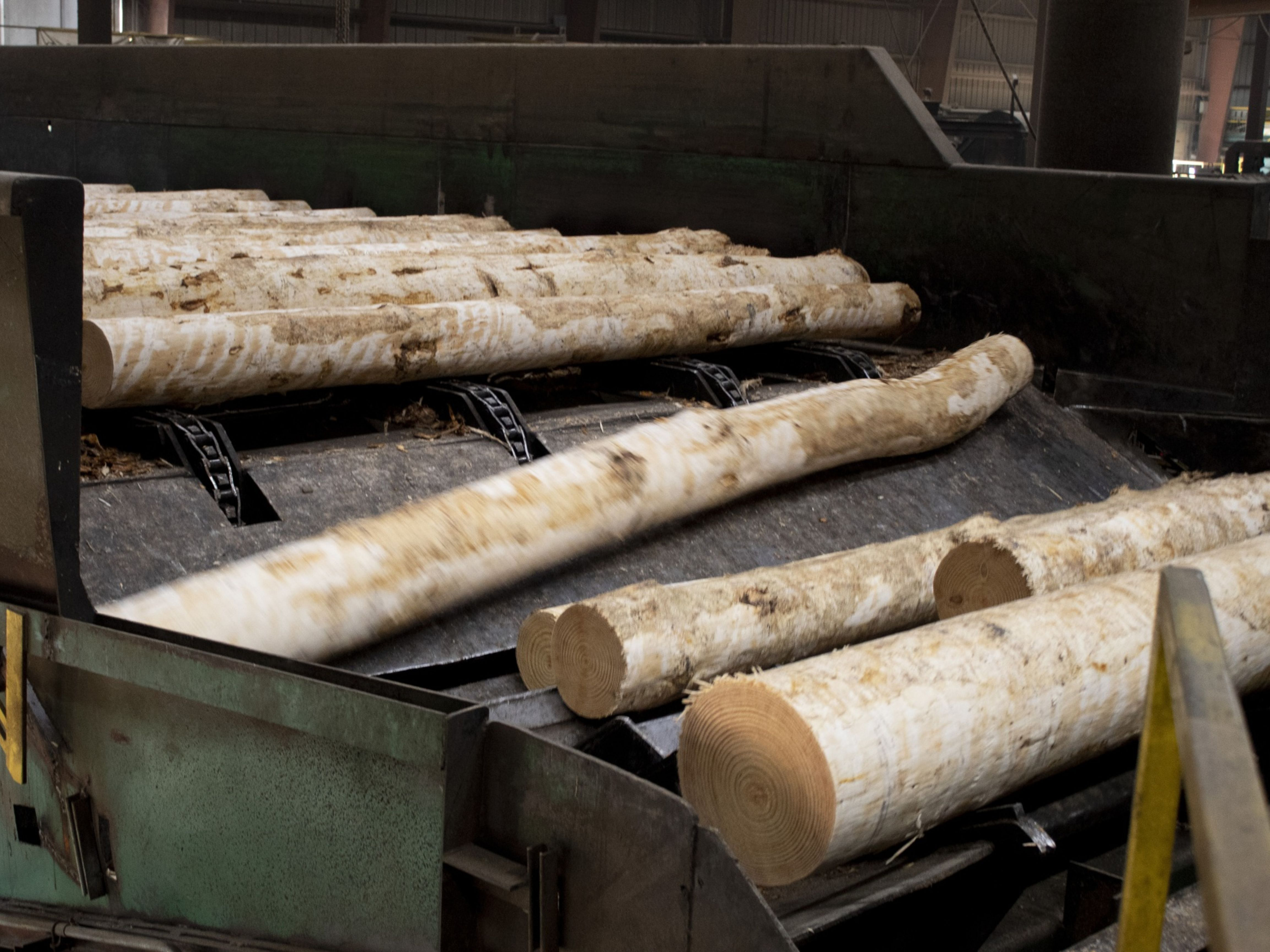 Logs move across a conveyor belt at the Charles Ingram Lumber Company sawmill in Effingham, South Carolina. Photo: Bloomberg.