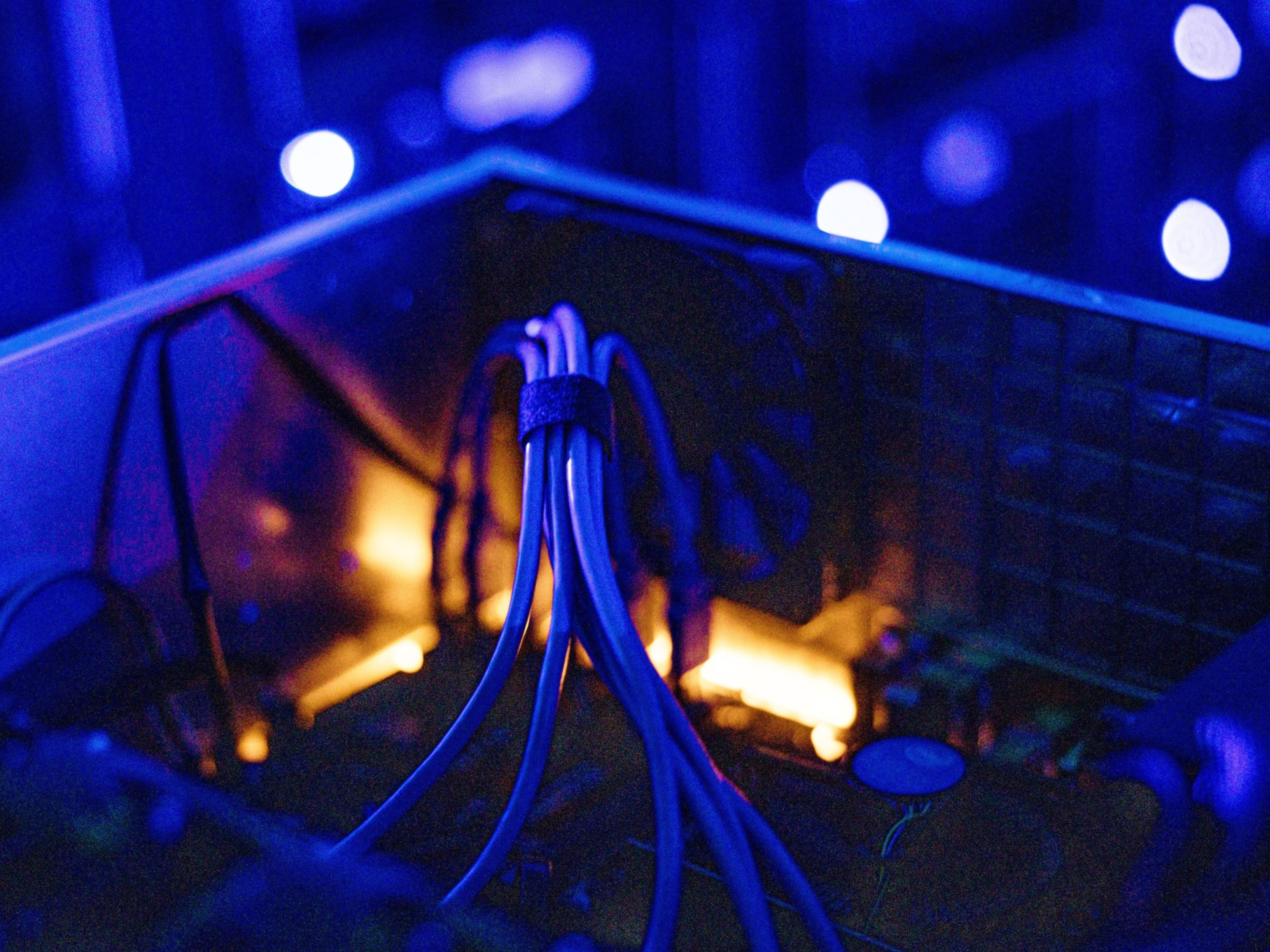 Computer network data cables. Photo: Bloomberg.