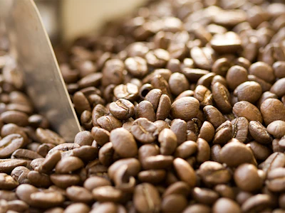 Coffee beans from Colombia. Photo: Getty.