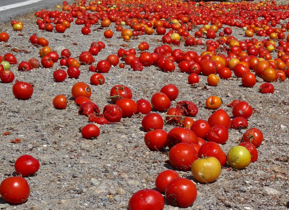 Spilled Tomatoes I Stock 498079313