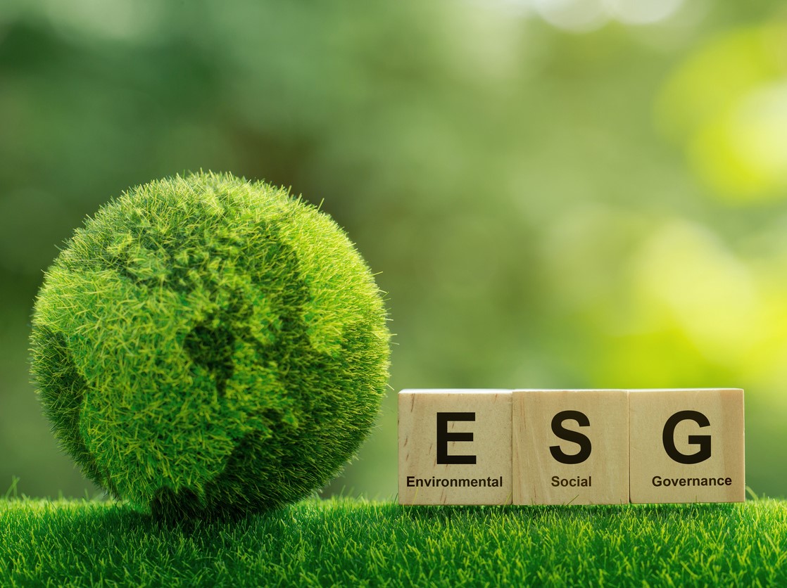 Photo: iStock.com/pcess609