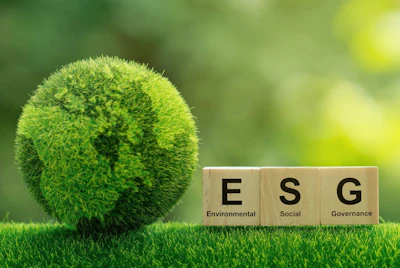 Photo: iStock.com/pcess609