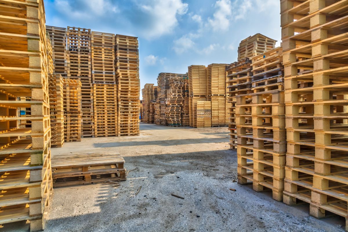 Photo: iStock.com/CreativeNature_nl