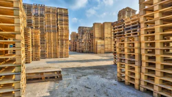Photo: iStock.com/CreativeNature_nl