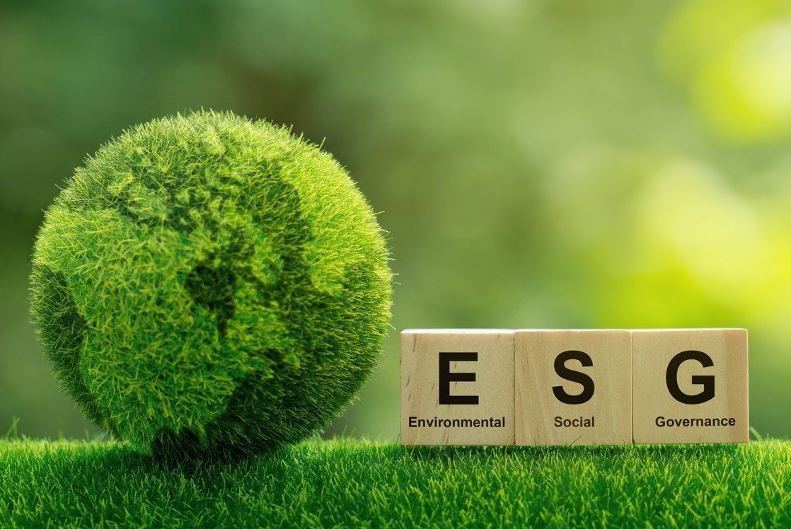 Photo: iStock.com/pcess609