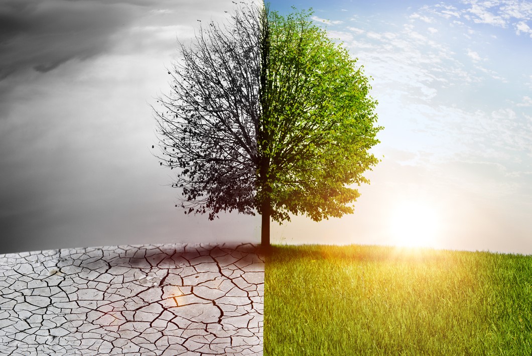 Photo: iStock.com/by-studio