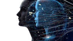Photo: iStock.com/metamorworks