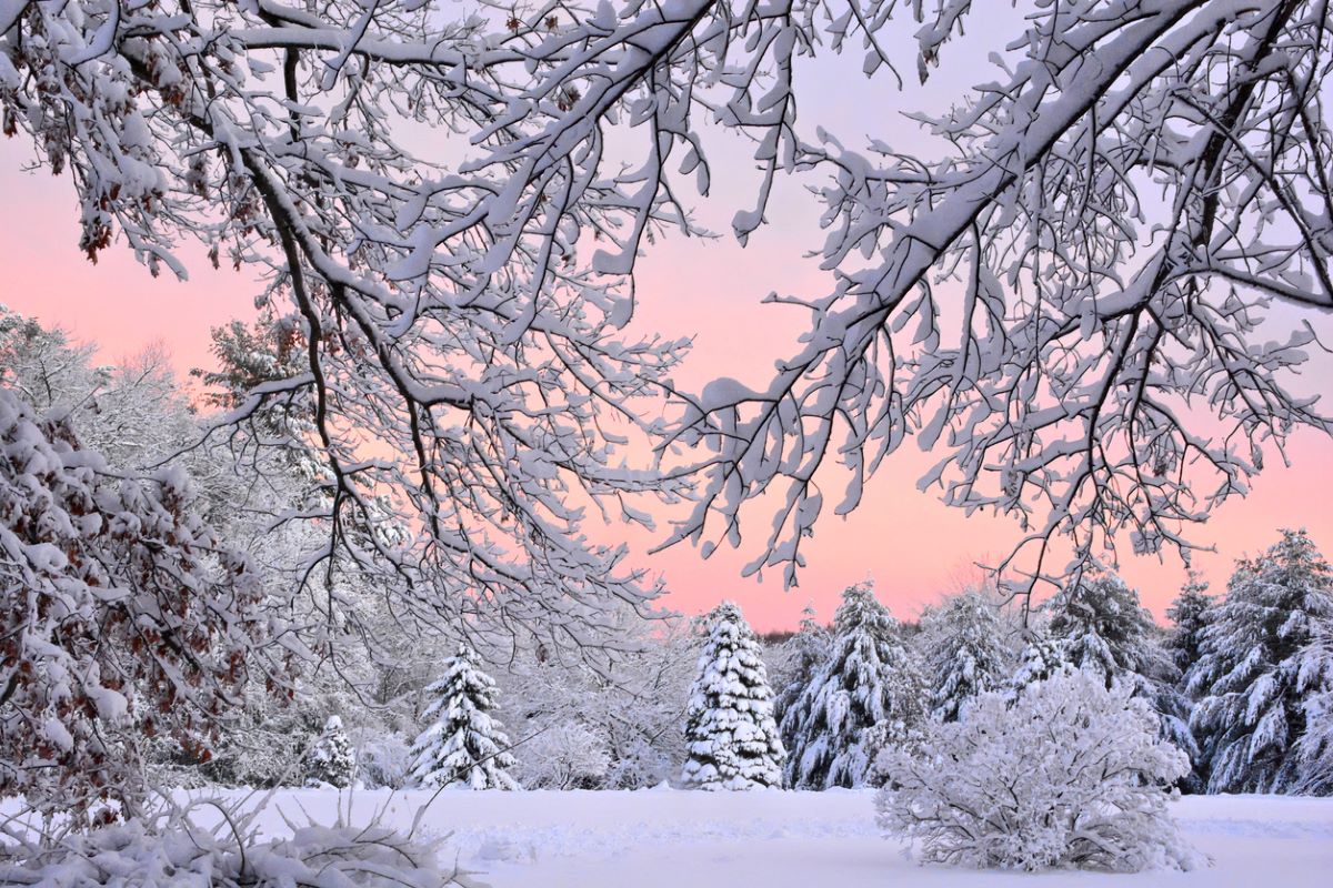 Photo: iStock.com/Gerald G Gantar