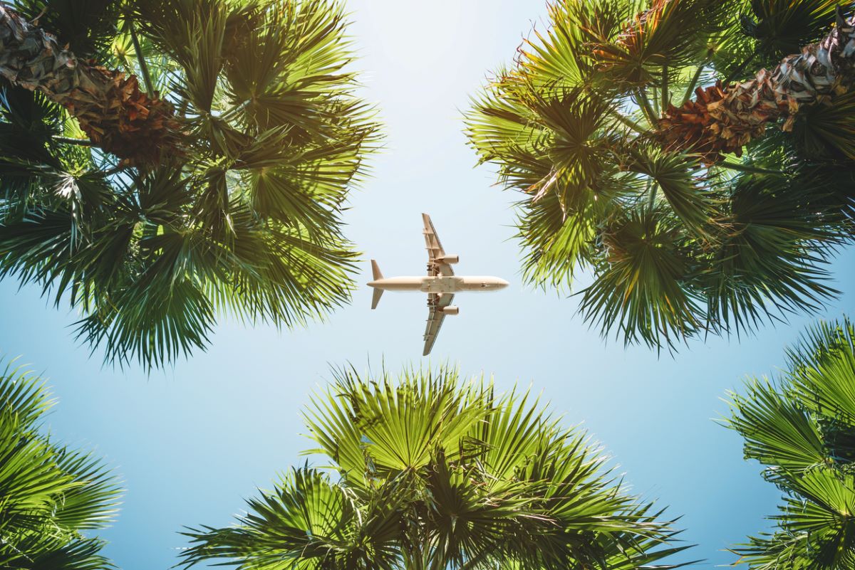 Photo: iStock.com/tarasov_vl
