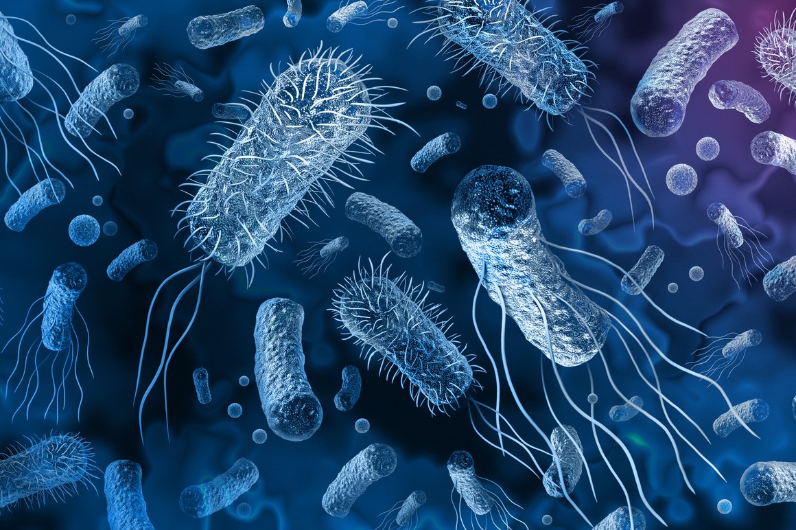 Photo: iStock.com/wildpixel